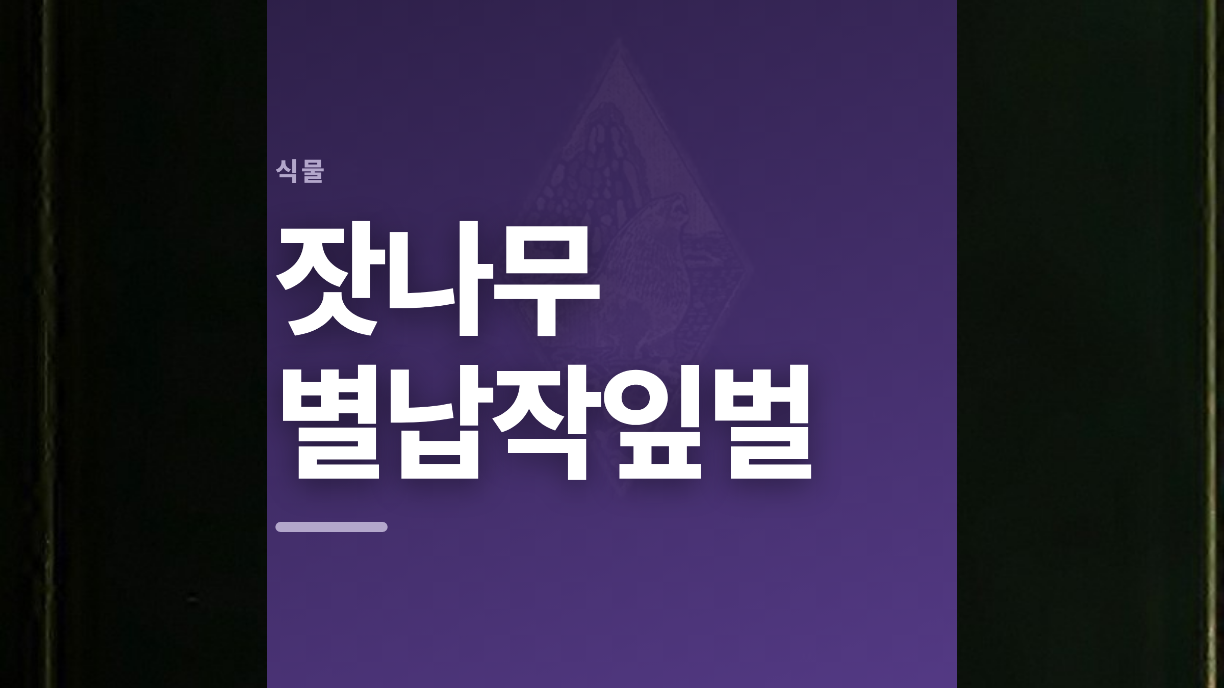 featured 660 thumbcard 잣나무 별납작잎벌 v2