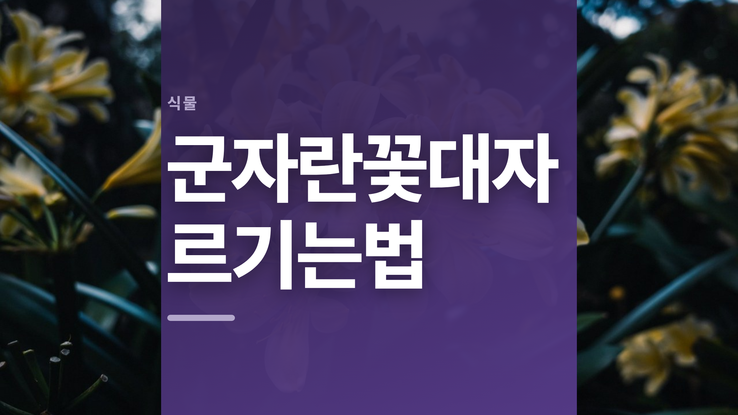 featured 665 thumbcard 군자란꽃대자르기는법 v2