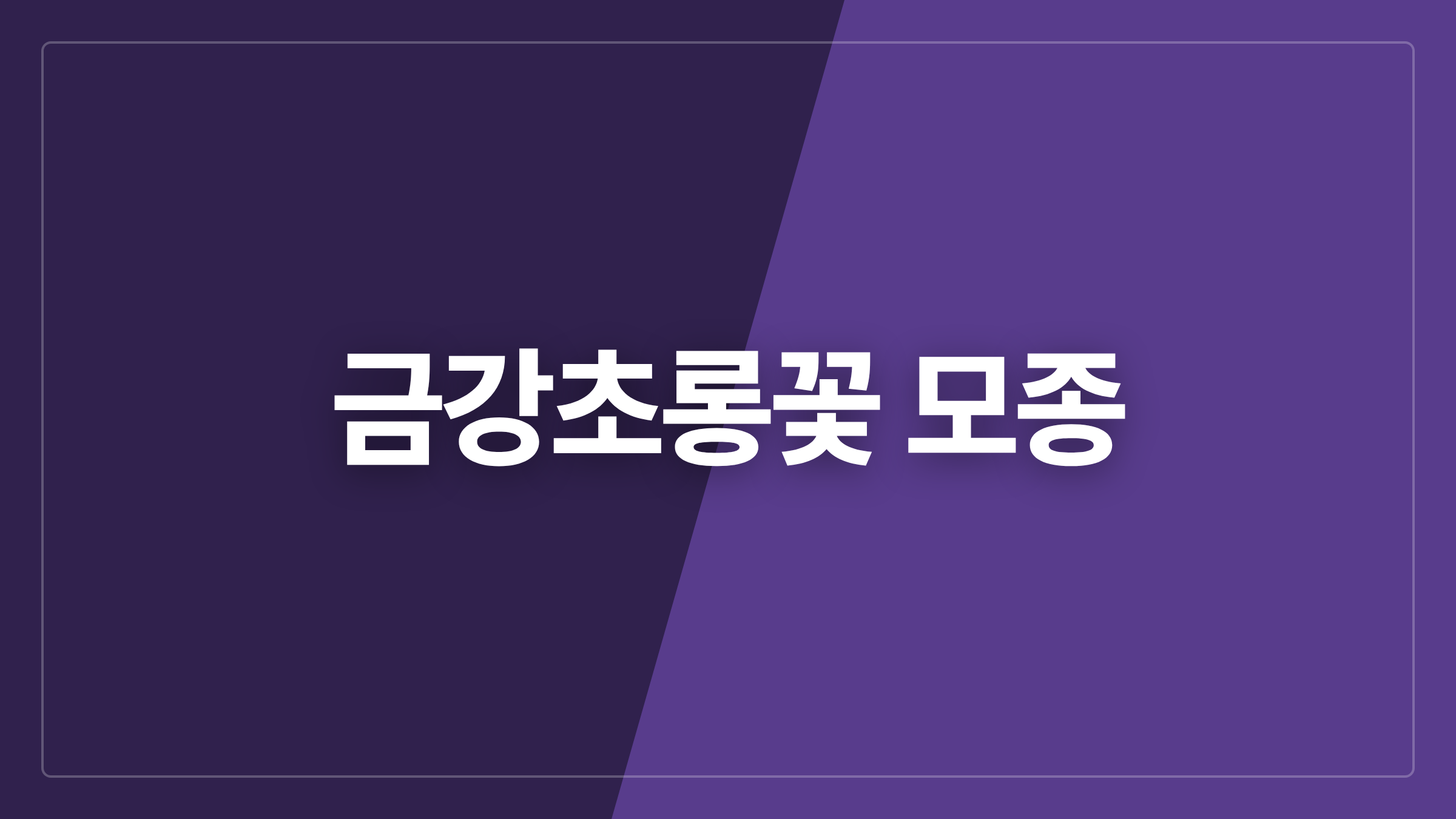 featured 676 thumbcard 금강초롱꽃 모종
