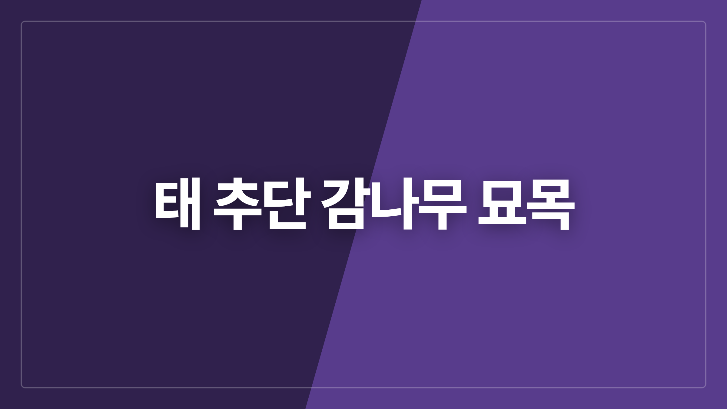 featured 716 thumbcard 태 추단 감나무 묘목
