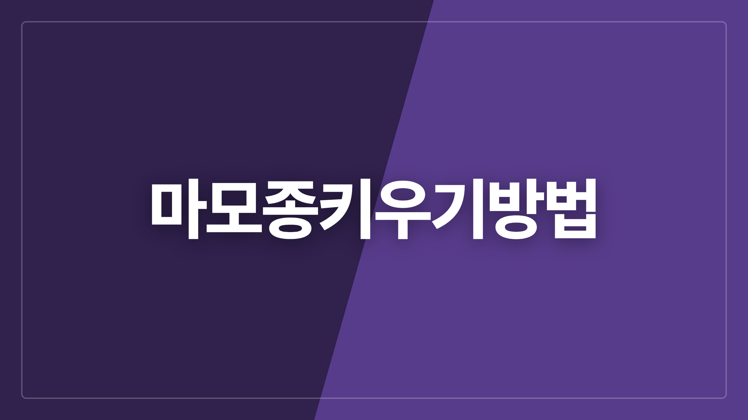 featured 722 thumbcard 마모종키우기방법