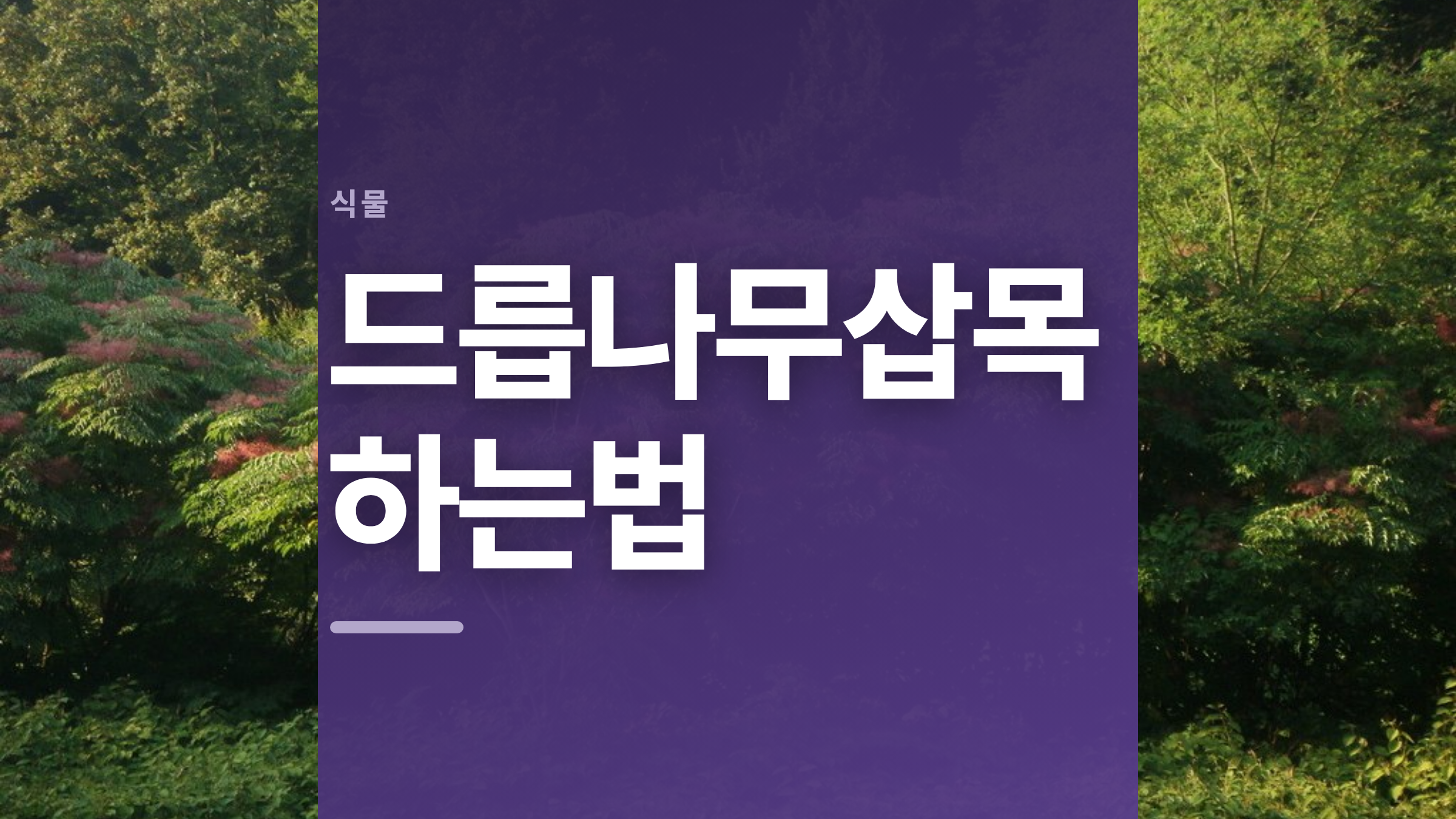 featured 748 thumbcard 드릅나무삽목하는법 v2