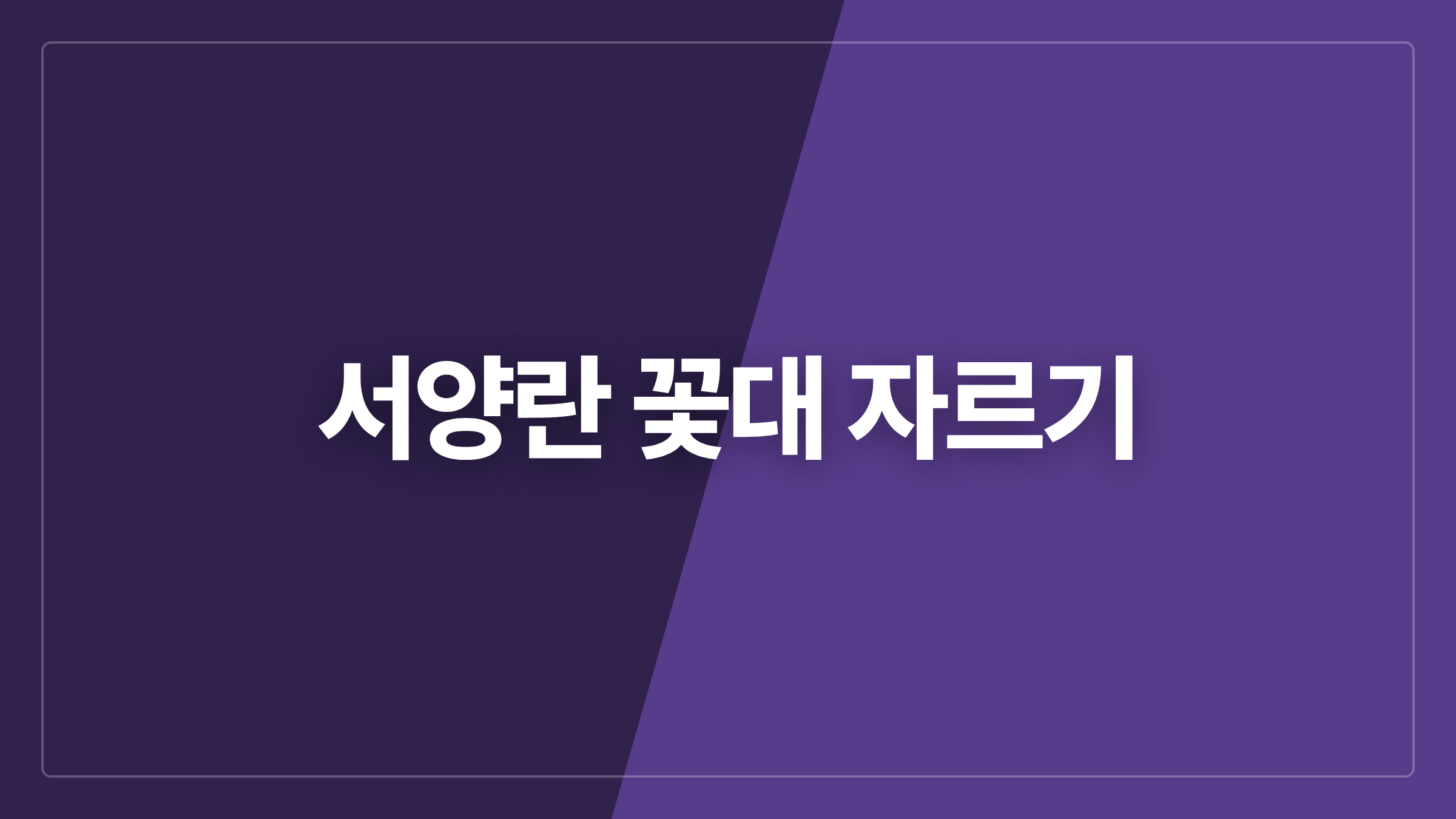 featured 803 thumbcard 서양란 꽃대 자르기