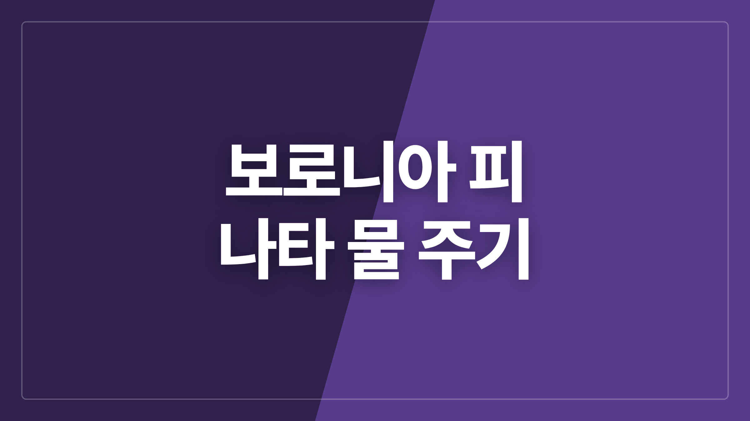 featured 924 thumbcard 보로니아 피 나타 물 주기