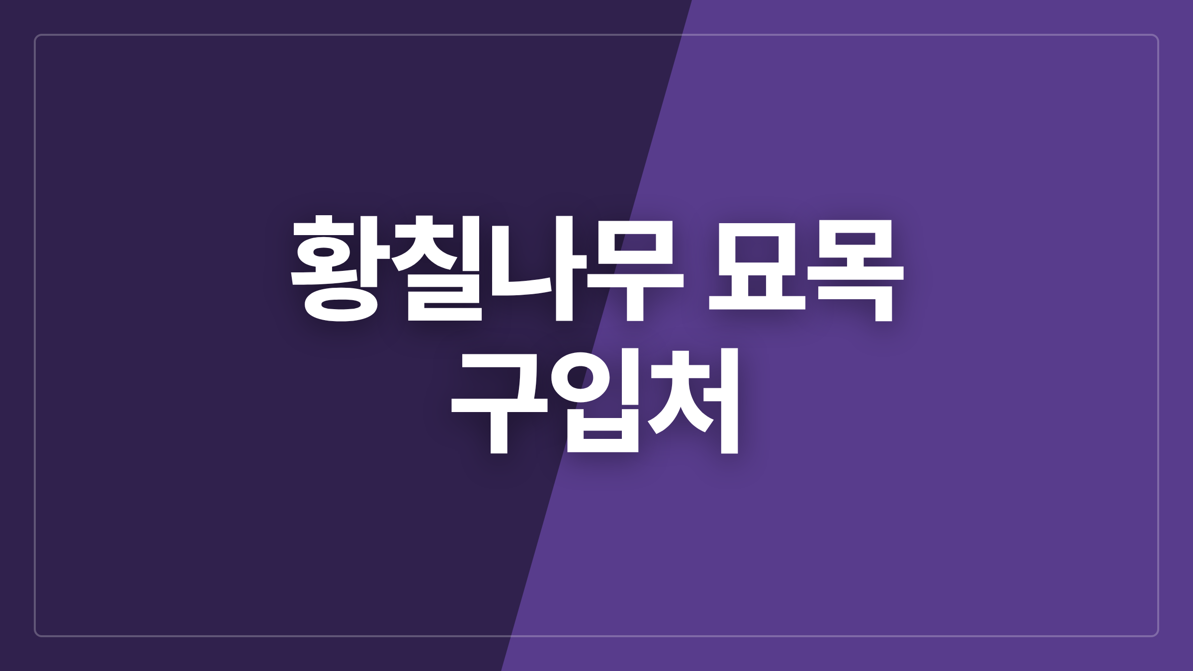 featured 954 thumbcard 황칠나무 묘목 구입처