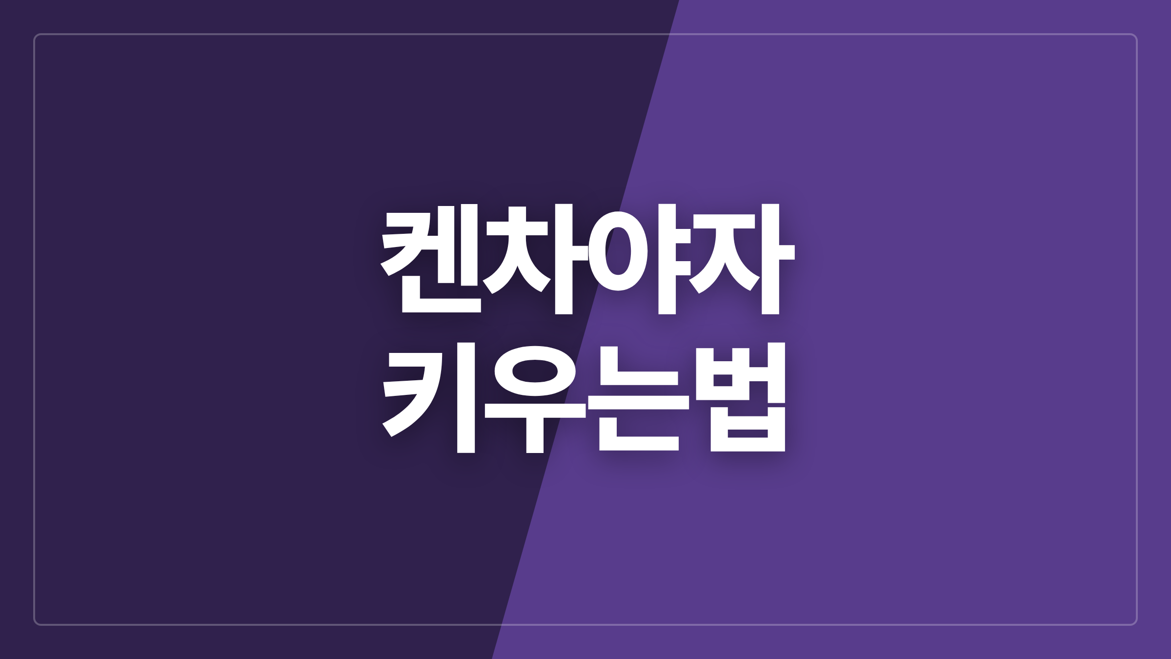featured 979 thumbcard 켄차야자 키우는법