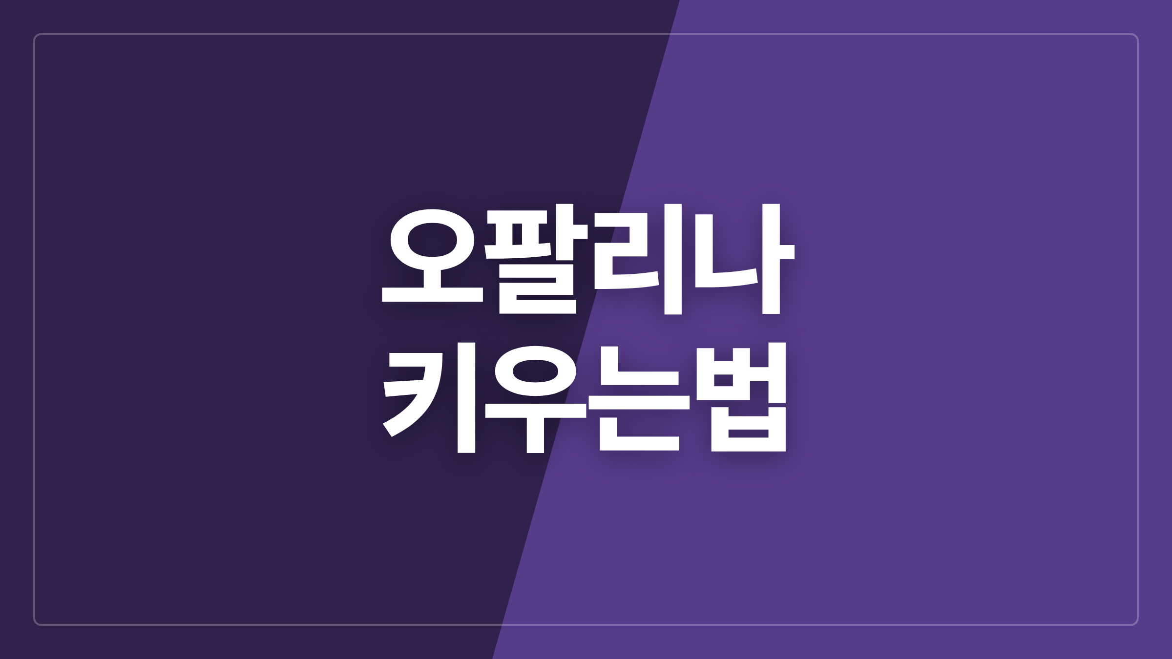 featured 1125 thumbcard 오팔리나 키우는법