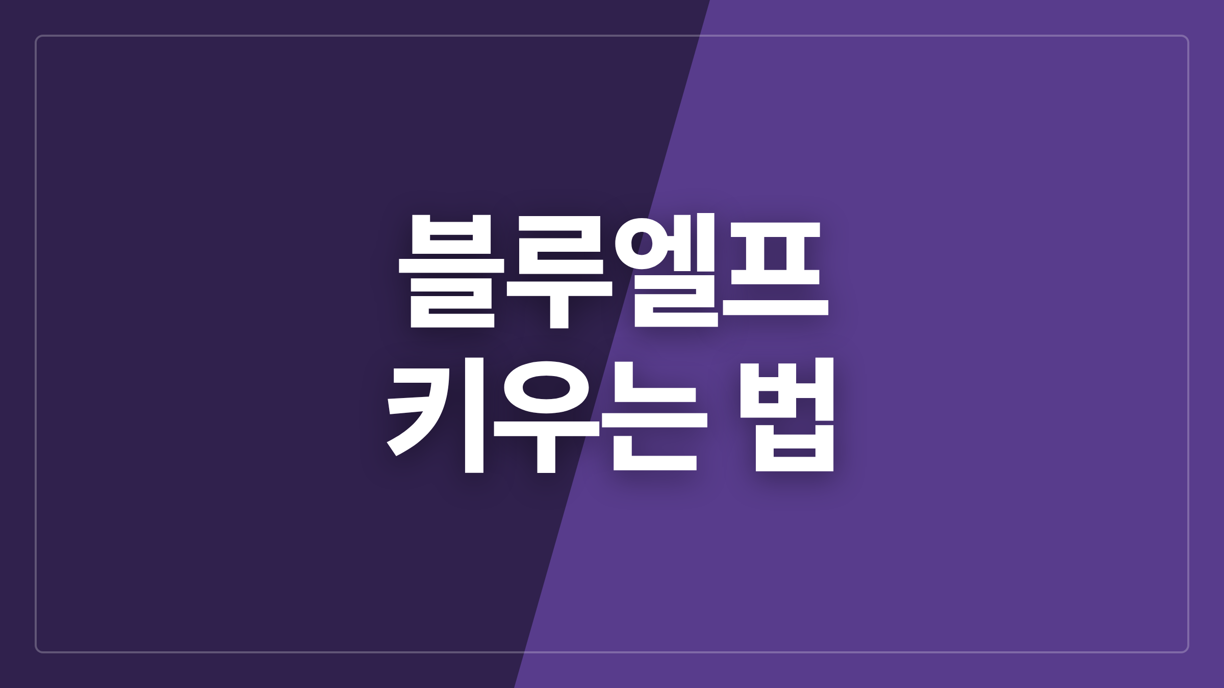 featured 1315 thumbcard 블루엘프 키우는 법