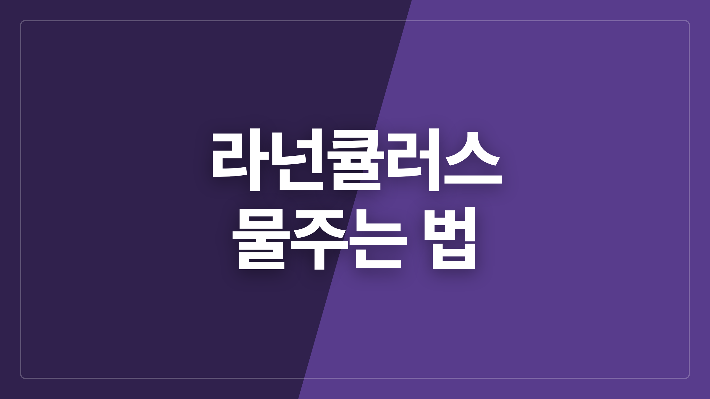 featured 1375 thumbcard 라넌큘러스 물주는 법