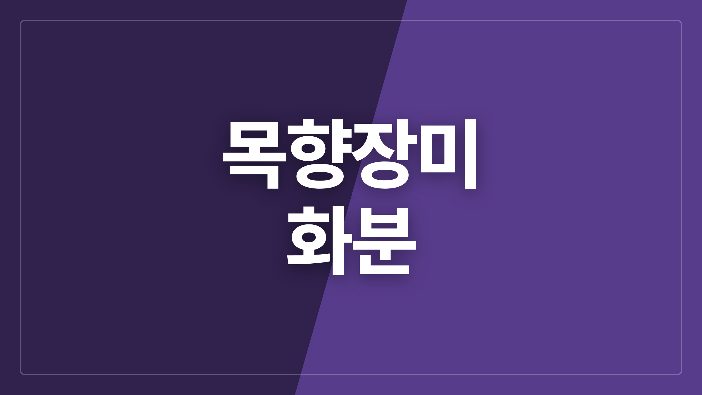 featured 999 thumbcard 목향장미 화분