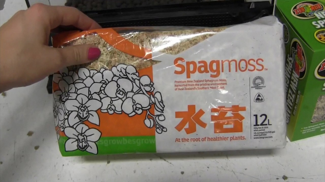 뉴질랜드 수태 1kg 5
